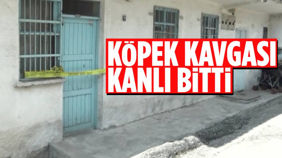 Köpeğini Istemeyen Ev Sahibini Tüfekle Vurdu