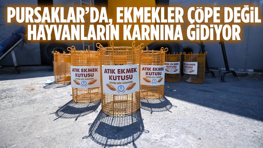 Pursaklar’da Bayat Ekmekler Çöpe Değil Ekmek Kutusuna