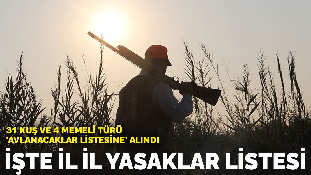 31 kuş ve 4 memeli türü ‘avlanacaklar listesine’ alındı: İşte il il yasaklar listesi