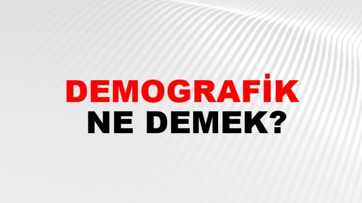 Demografik Ne Demek? – Türkçede Demografik Kavramının Anlamı