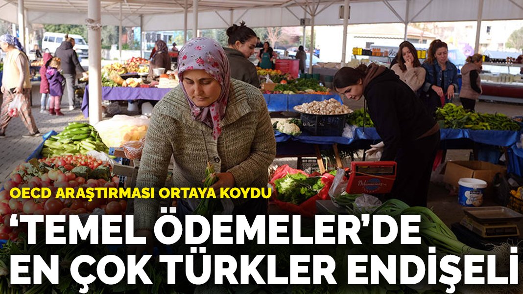 OECD araştırması ortaya koydu: ‘Temel ödemeler’ konusunda en çok Türkler endişeli