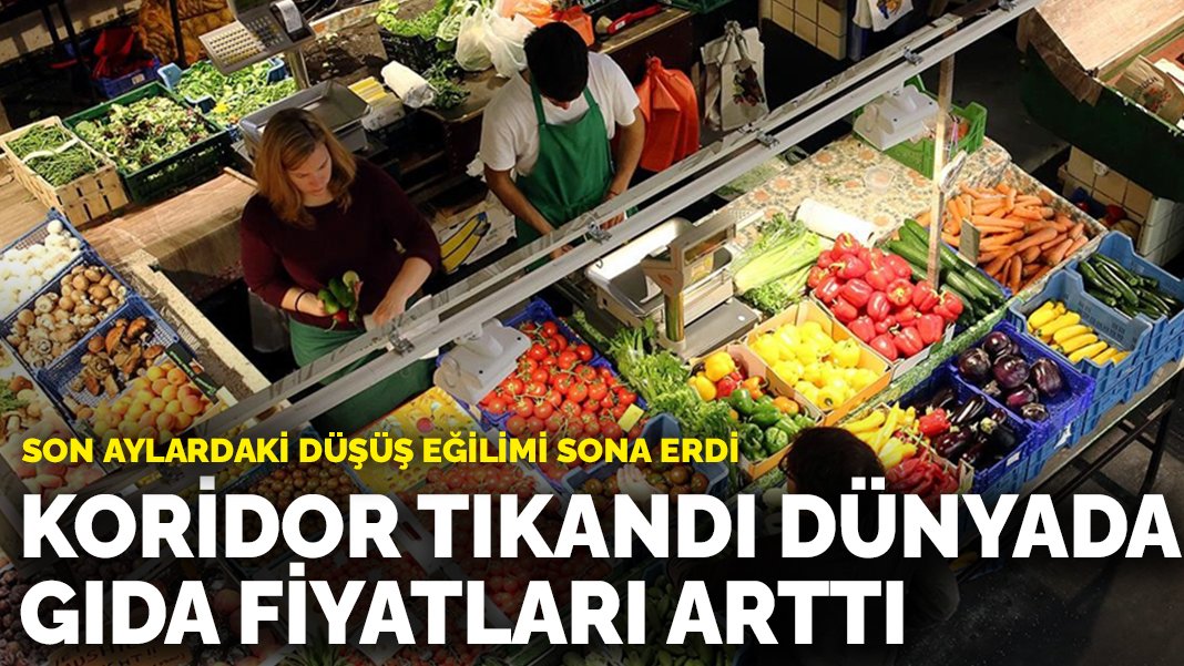 Son aylardaki düşüş eğilimi sona erdi: Koridor tıkandı dünyada gıda fiyatları arttı