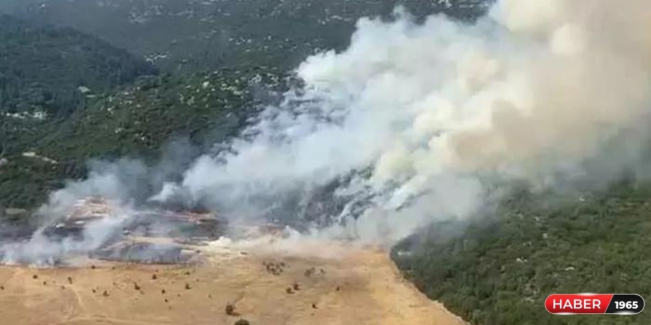 Kaş’ta orman yangını! Henüz kontrol altına alınamadı