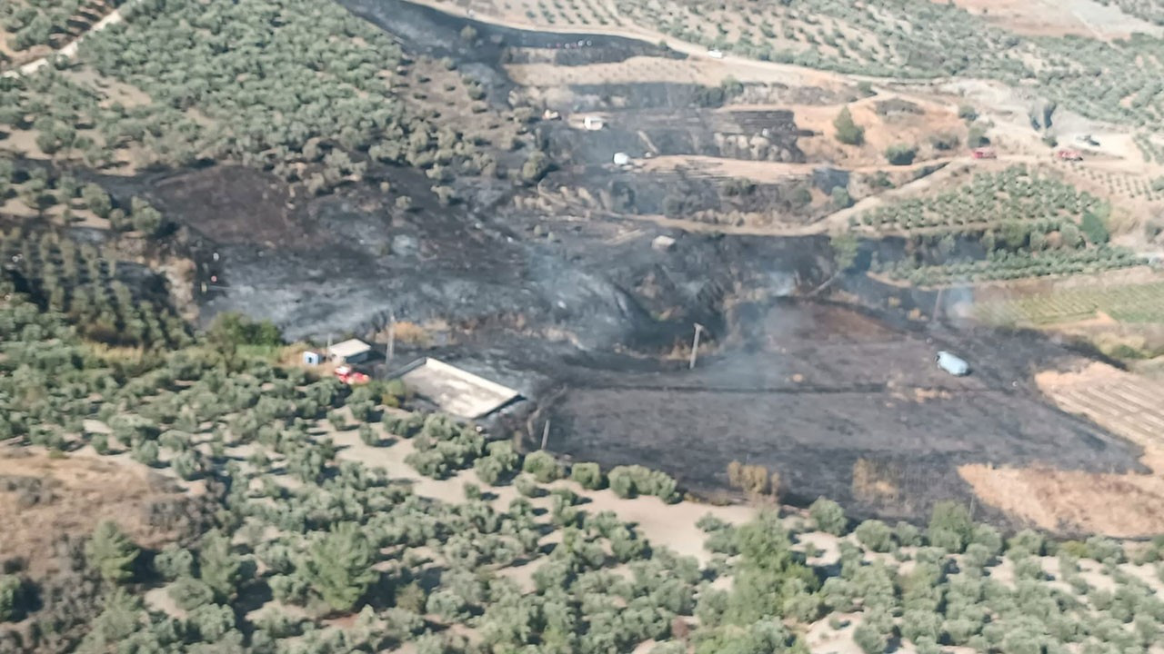 Hatay’da zeytinlikte çıkan yangın ormana sıçradı