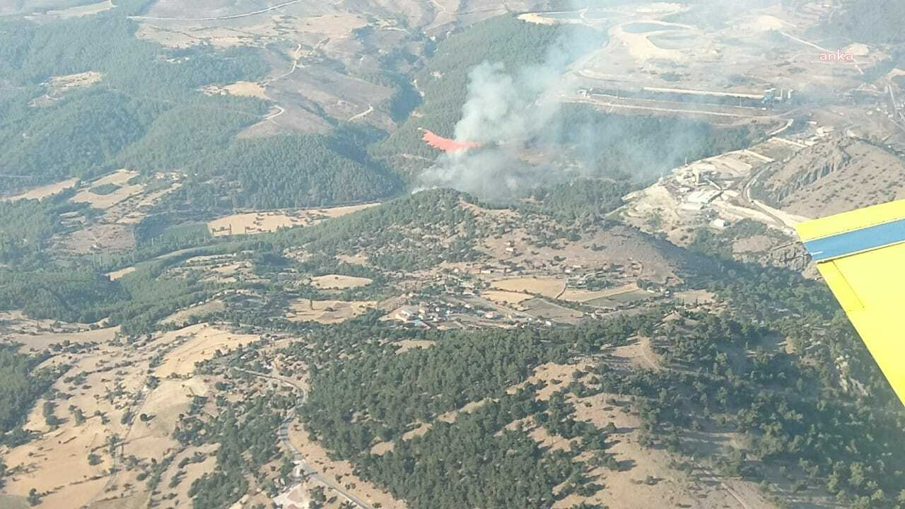İzmir’de orman yangını çıktı