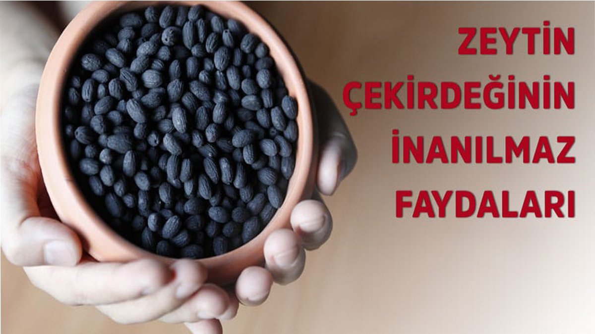 Bu haberi okuduktan sonra zeytin çekirdeklerini çöpe atmadan önce iki kez düşüneceksiniz! Duyanlar kulaklarına inanamıyor…