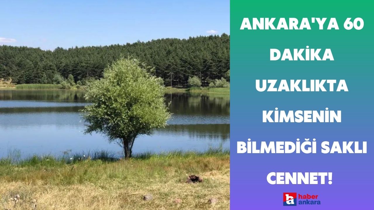 Ankara’ya 60 dakika uzaklıkta kimsenin bilmediği saklı cennet! Ayak basılmamış gölet kampçıların gözdesi olacak