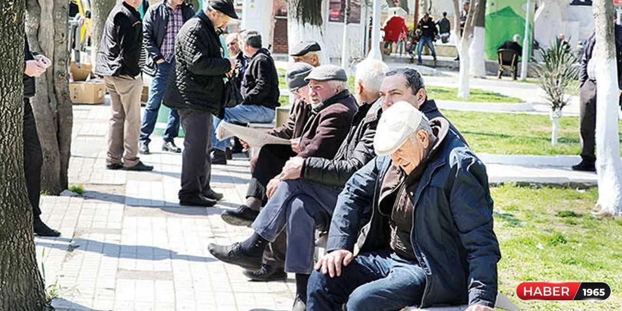 65 yaş üstü vatandaşlar dikkat! Toplu taşımayla ilgili inceleme kararı geldi