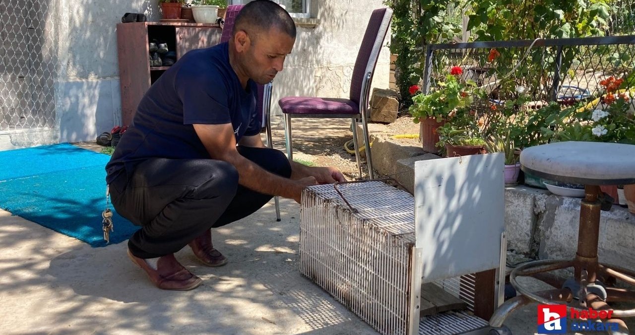 Akyurt’ta son yılan bükücü! Ankara’nın efsaneleri arasına girdi