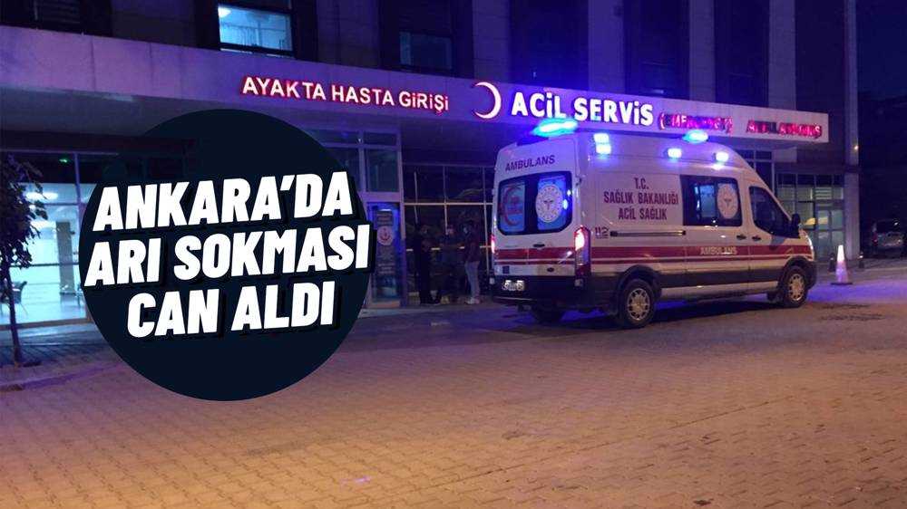 Ankara’da Arıların Soktuğu Şahıs Hayatını Kaybetti