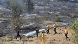 Bilecik’te orman yangını: 4 kişi hastaneye kaldırıldı