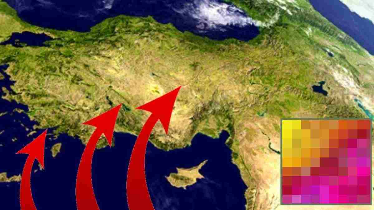 Afrika’dan kırmızı misafir bugün geldi! İl il gezip cuma günü gidecek… Gözlerimize kirpiklerimize kadar dolabilir