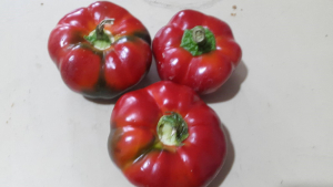 Uşak’ta yetiştirildi, Manisa’da ilgi odağı oldu: Herkes domates sanıyor, kilosu 20 TL!