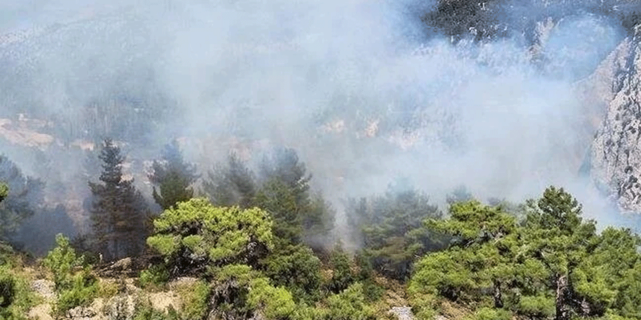 Antalya’da ormanlık alanda çıkan yangın kontrol altına alındı