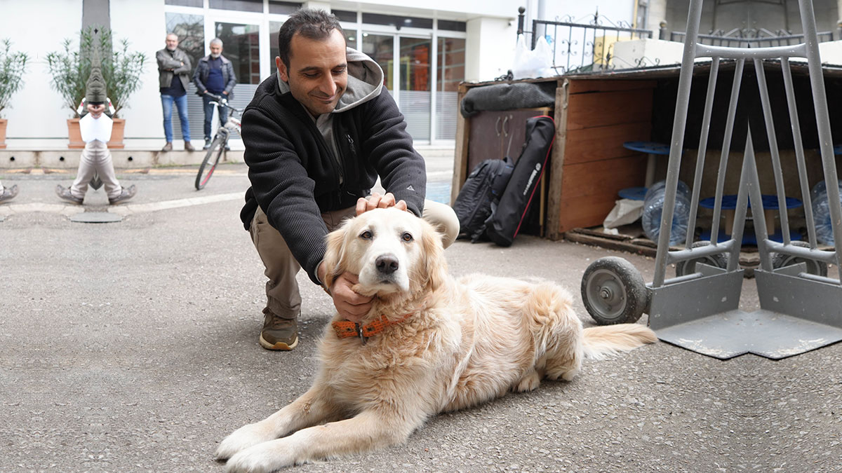 Havlayan köpeğe rekor tazminat: 700 bin TL ödeyecek! ‘Benim ne suçum var’ diyerek isyan etti