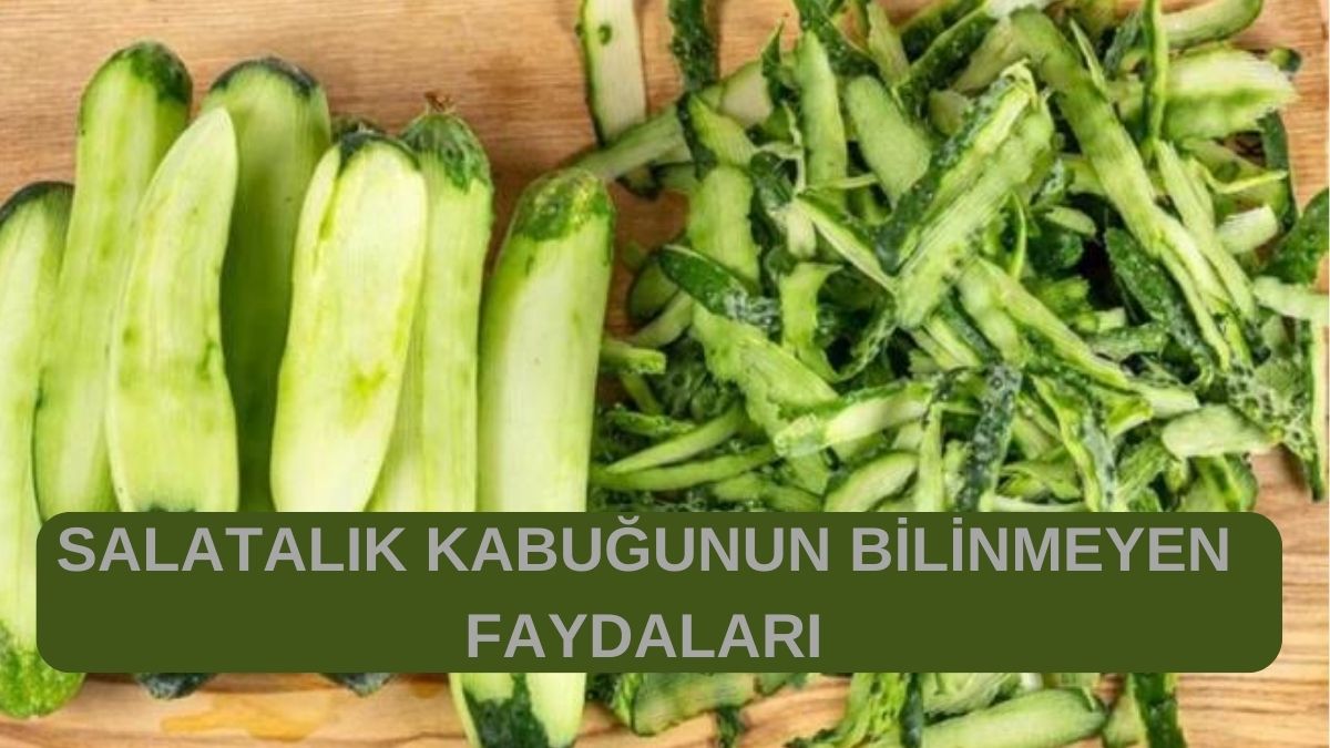 Pencere ve balkonlara salatalık kabuğu koyun o dertten kurtulun! Ne işe yaradığını duyunca şaşıracaksınız