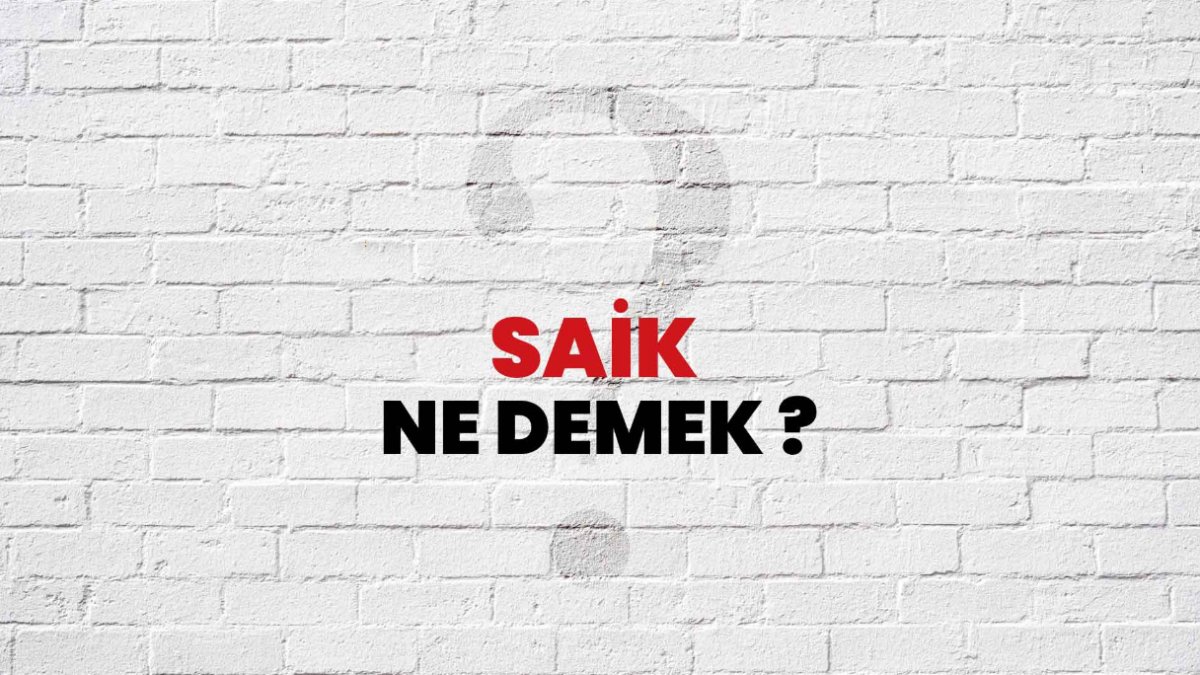 Saik Ne Demek?