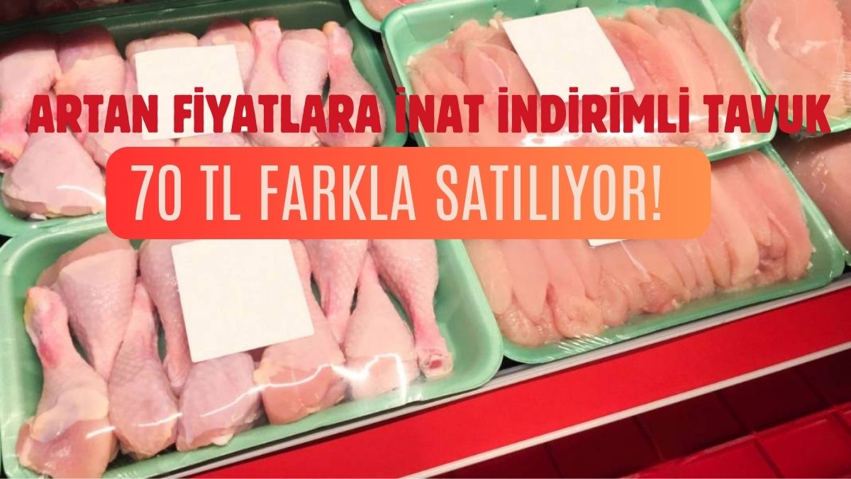 Hem ucuz hem kaliteli olsun diyen o markete koşacak! Türkiye’nin en ucuz tavuğunu satıyor: 70 TL fark…