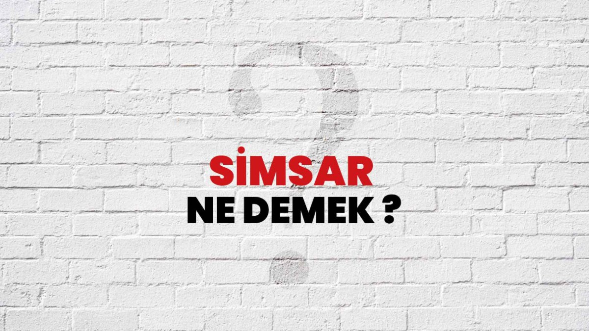 Simsarlık: İşinizi Büyütmenin ve Kazanç Elde Etmenin Anahtarı