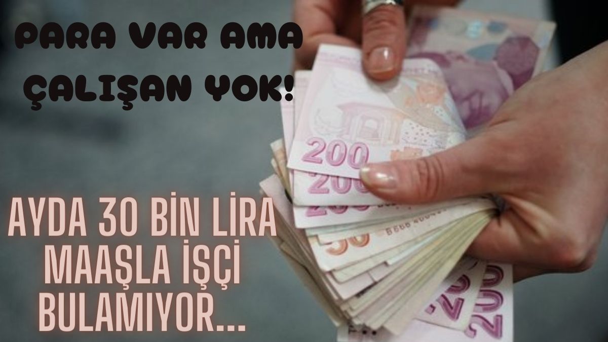 Yüksek maaşla iş arayanlar müjde! Aradığınız meslek resmen ayağınıza geldi: 30 bin lira maaşla çalışacak işçi bulamıyor