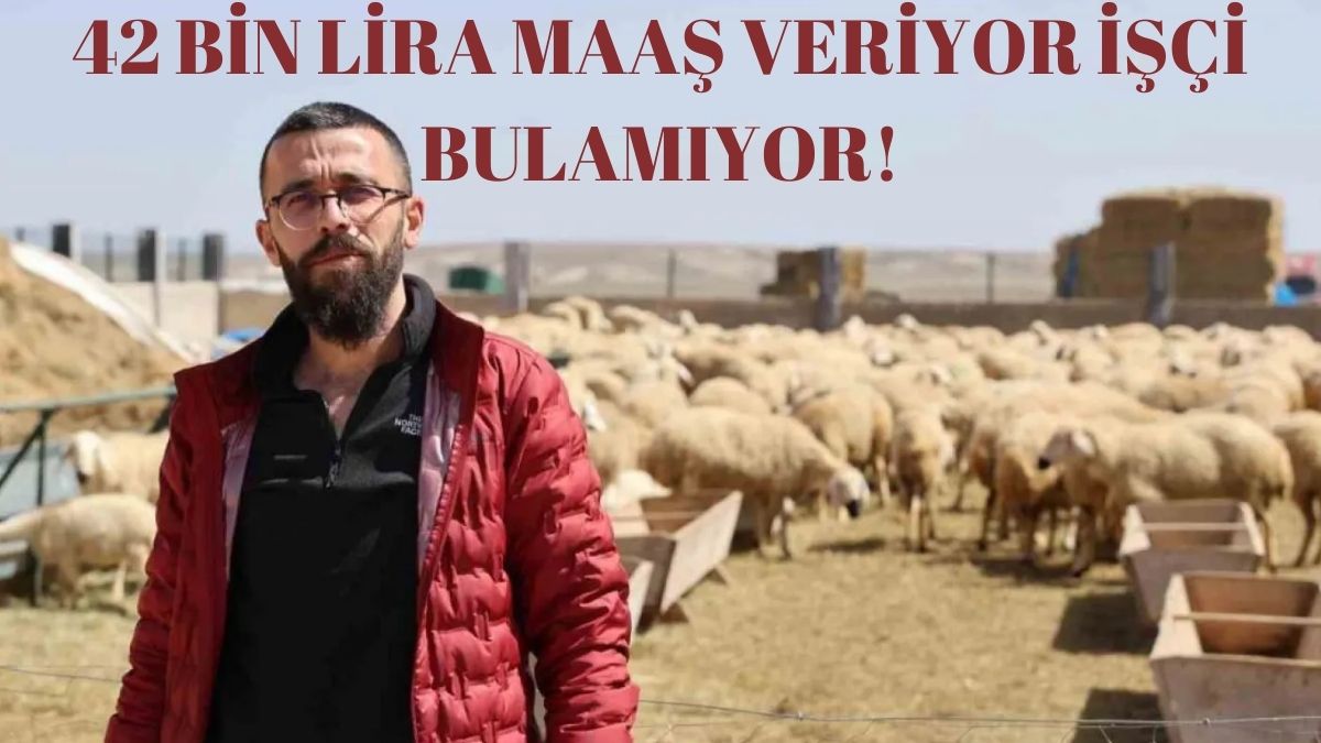 Tarımın kalbi kan ağlıyor! 42 bin lira maaşla çalıştıracak işçi bulamıyor: Üstelik bedava ev ve karavana rağmen