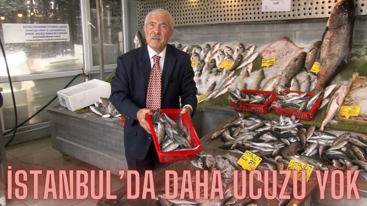 300 liralık balığı 120 liraya düşürdü! İstanbul’un en ucuz balıkçısı: Bayram boyunca yarı fiyatından ucuza satacak