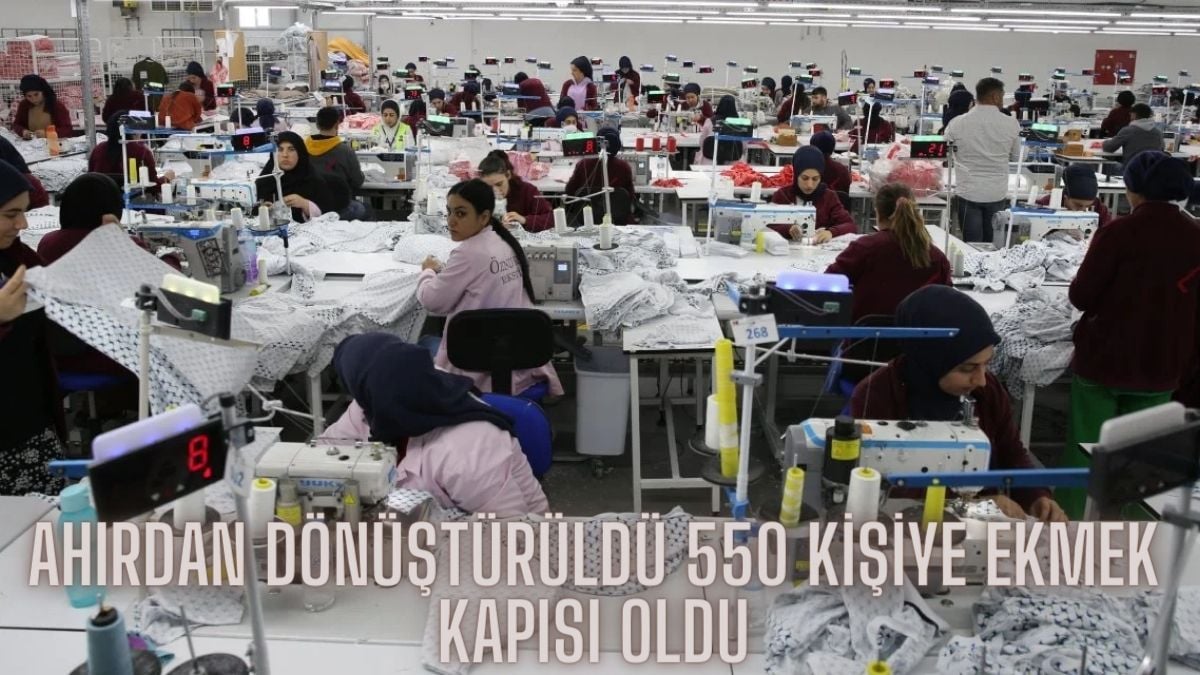 Ahırın çatısına güneş paneli kurup fabrikaya dönüştürdü! Elektriğe bile para ödemiyor, yurt dışına tonla ürün gönderiyorlar