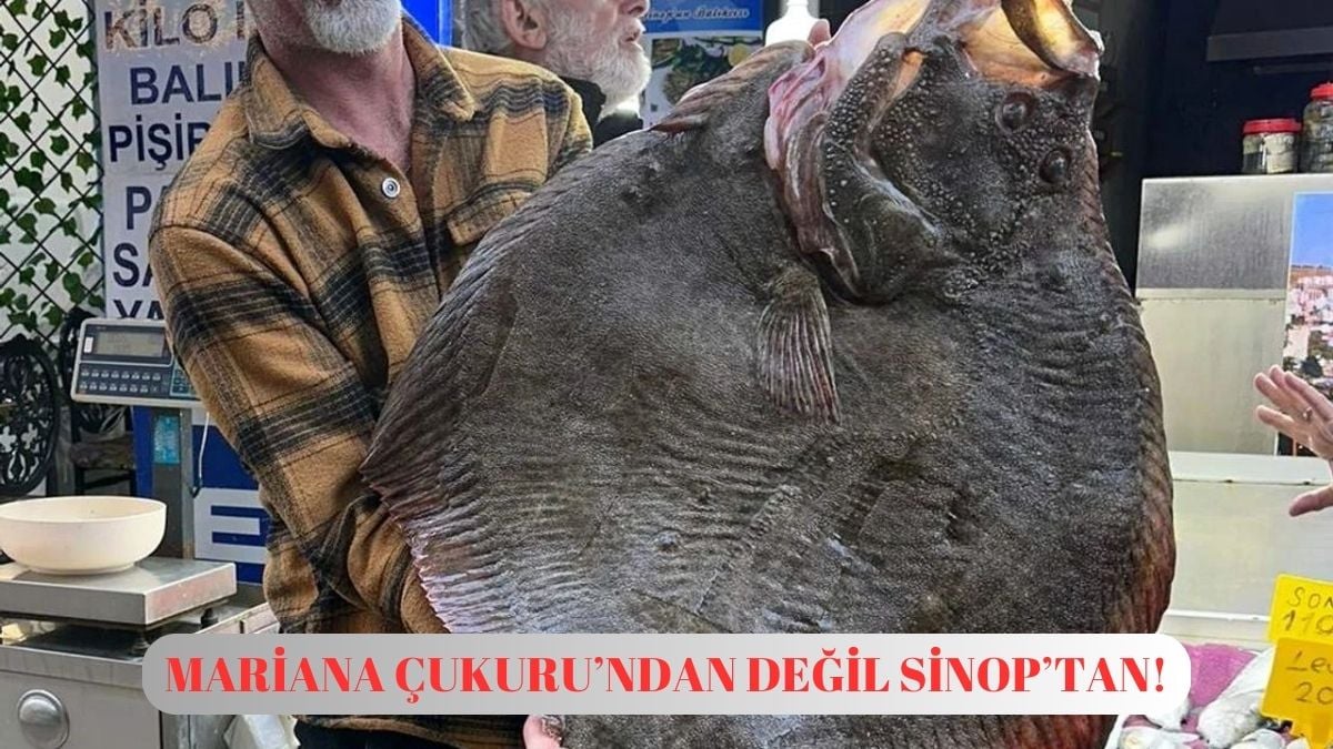 Mariana Çukuru’ndan değil Sinop’tan çıktı! Görenin dudağı uçukluyor: 14 bin 500 liraya anında satıldı