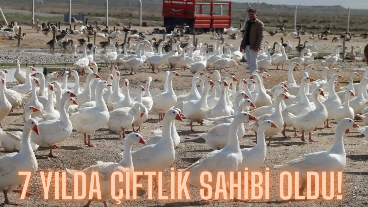 Hobi diye başladı çiftlik sahibi oldu! Girişimciliğin böylesi: Şimdi 20 bin yavru daha bekliyor