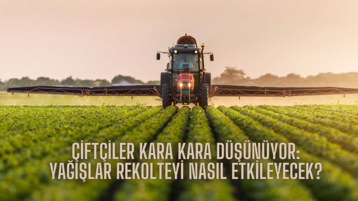 Çiftçiler kara kara düşünüyor! Yağışların az olması rekolteyi etkileyecek mi? Uzmanlar doğru ilaçlama ve sulama önerisi verdi