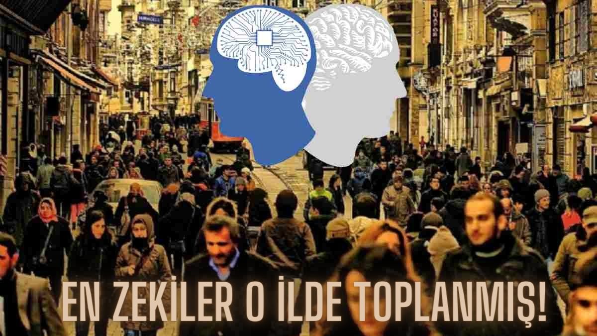 Türkiye’nin en zeki illeri belli oldu: IQ’ları Einstein ile yarışıyor! En zeki kişiler resmen o ilde toplanmış