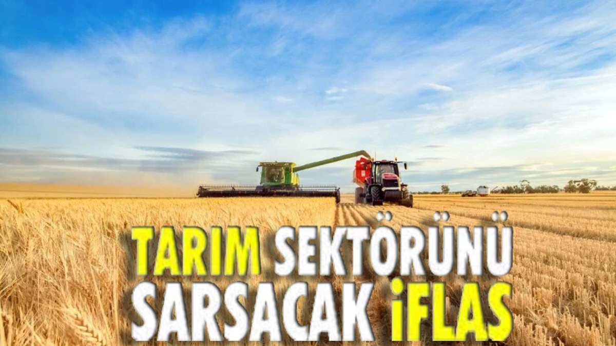 Tarımda büyük iflas! Yüzlerce kişinin işine son verilecek! Herkes iş aramaya başladı