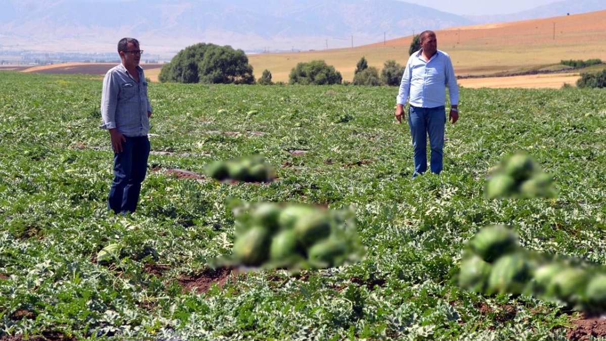 Adını duyan 1 diliminin hayalini kuruyor! En iyisi Diyarbakır’dan çıkıyor! Asya ülkeleri peşinden koşuyor