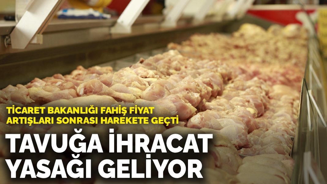 Ticaret Bakanlığı harekete geçti: Tavuğa ihracat yasağı geliyor