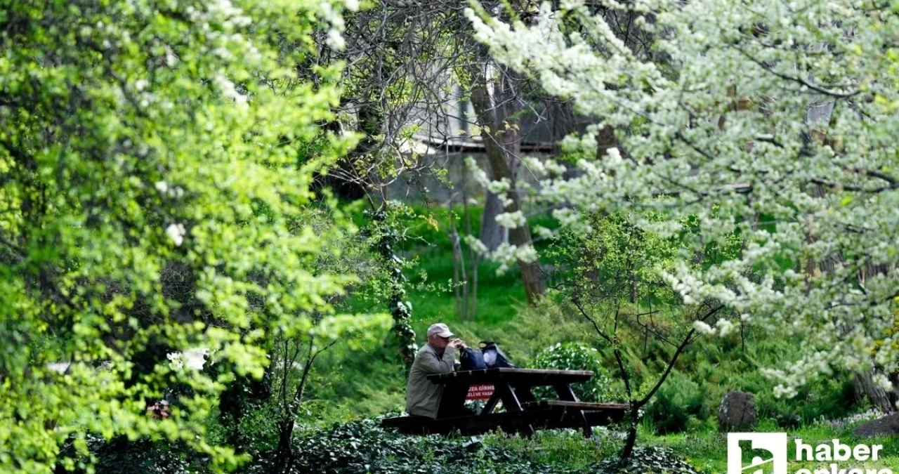 Ankaralılar Ramazan Bayramı’nın ilk gününde park ve bahçelere akın etti!