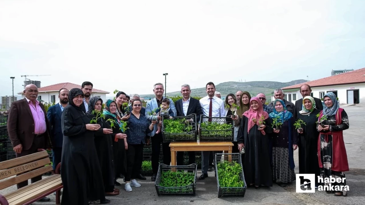 Keçiören Belediyesi çiftçilere ücretsiz fide desteği yaptı