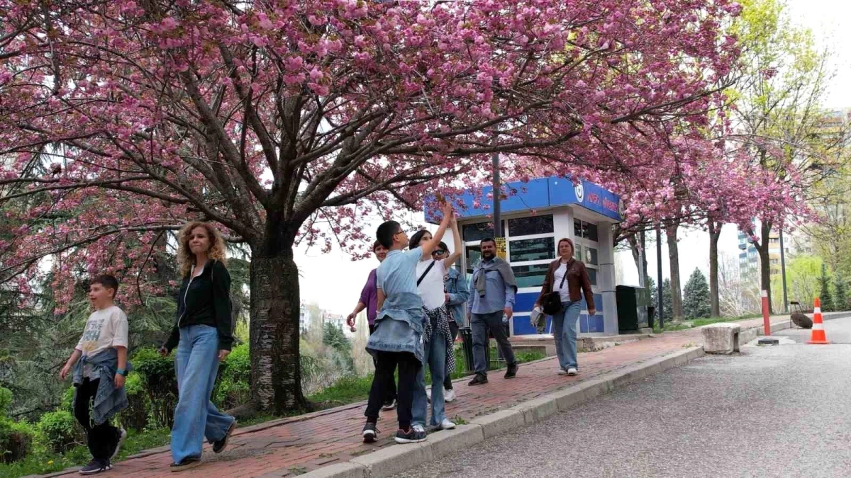 Ankara’da Aileler Ramazan Bayramı Tatilini Parklarda Geçiriyor