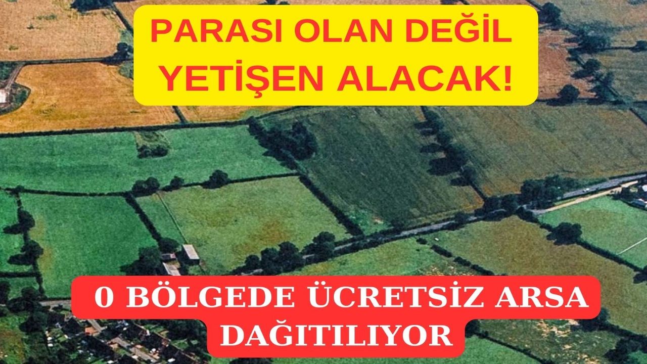 Bedavaya arsa sahibi olabilirsiniz! Hızlı olan en iyi yerden bedava arsayı kapacak