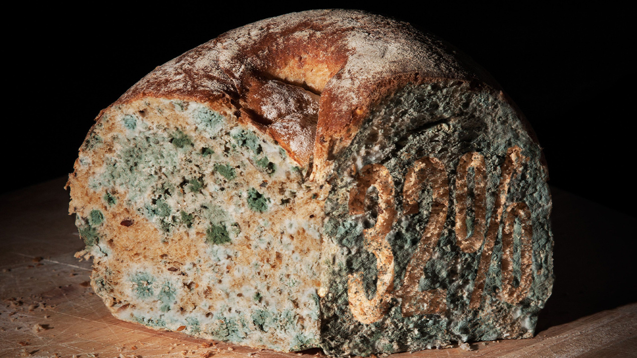 Ekmekler asla küf tutmayacak: Ekmeğin küflenmesini önleyen formül bulundu. Ekmek küflenmeden nasıl saklanır?