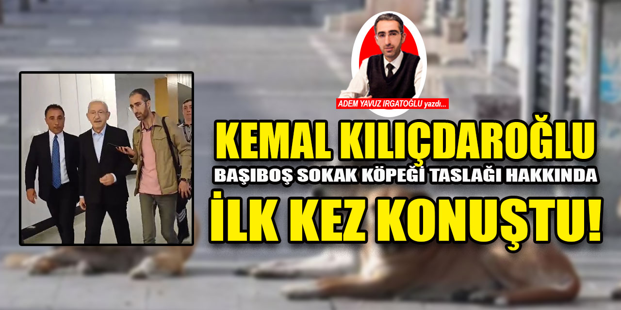 Kemal Kılıçdaroğlu, ‘başıboş köpek düzenlemesi’ni anadolugazete.com.tr’ye değerlendirdi