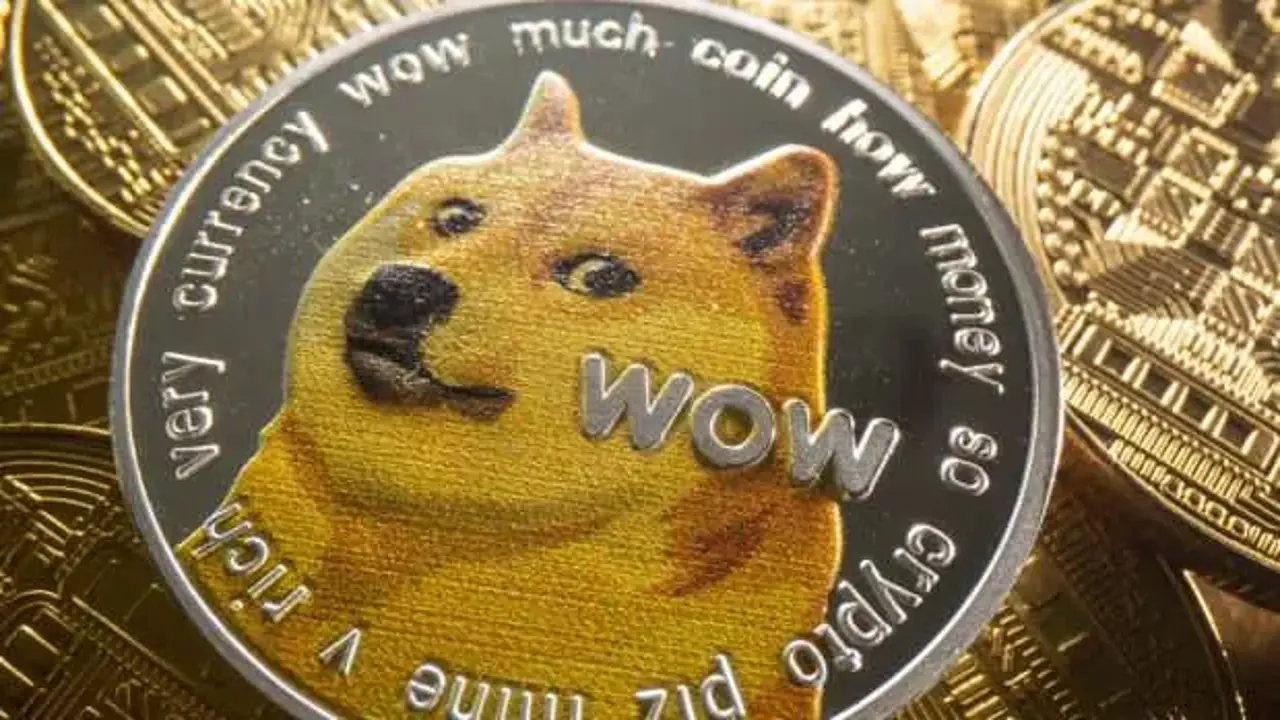 Dogecoin köpeği öldü