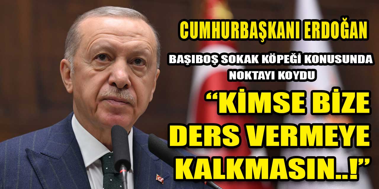 Cumhurbaşkanı Erdoğan, başıboş sokak köpeği meselesine noktayı koydu: “Kimse bize merhamet üzerinden ders vermeye kalkmasın”