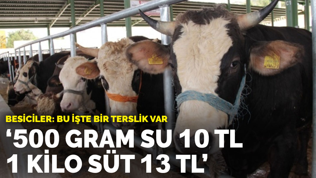 500 gram su 10 TL 1 kilo süt 13 TL… Besiciler: Bu işte bir terslik var