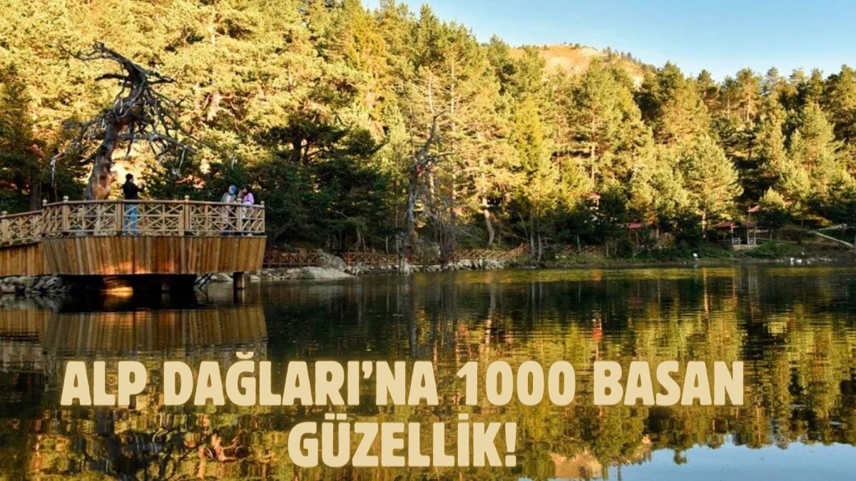 Alp Dağlarına bile 1000 basar! Kenarında oturup çay içmek bile huzur veriyor… Giden geri dönmek istemiyor