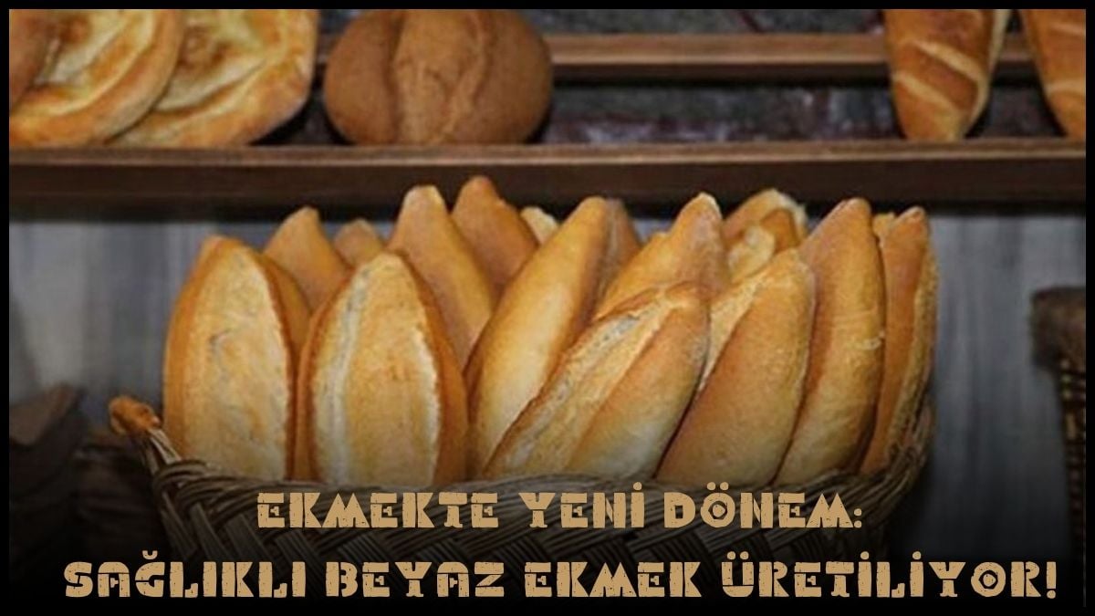 Ekmeklere bezelye ve nohut eklenecek! Sağlıklı beyaz ekmek projesi… Süpermarket raflarına konulmak için hazırlanılıyor