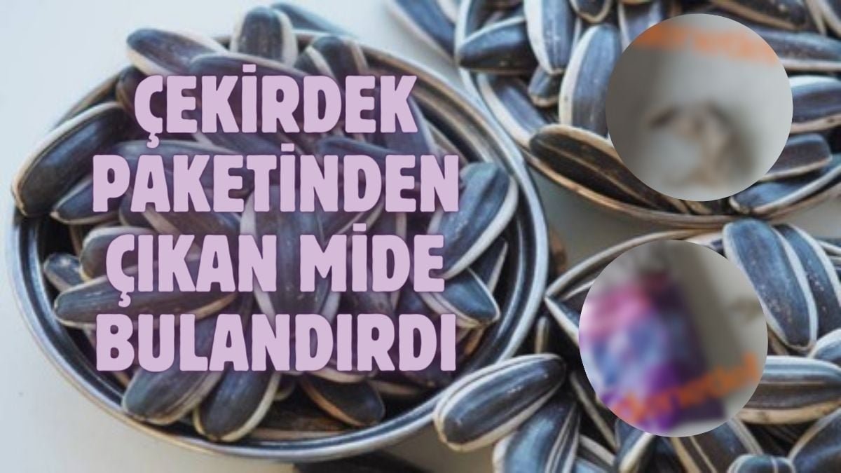 Çekirdeğin içerisinden çıkan şey mide bulandırdı! Önce bütünleşmiş tuz sandı, inceleyince şok oldu