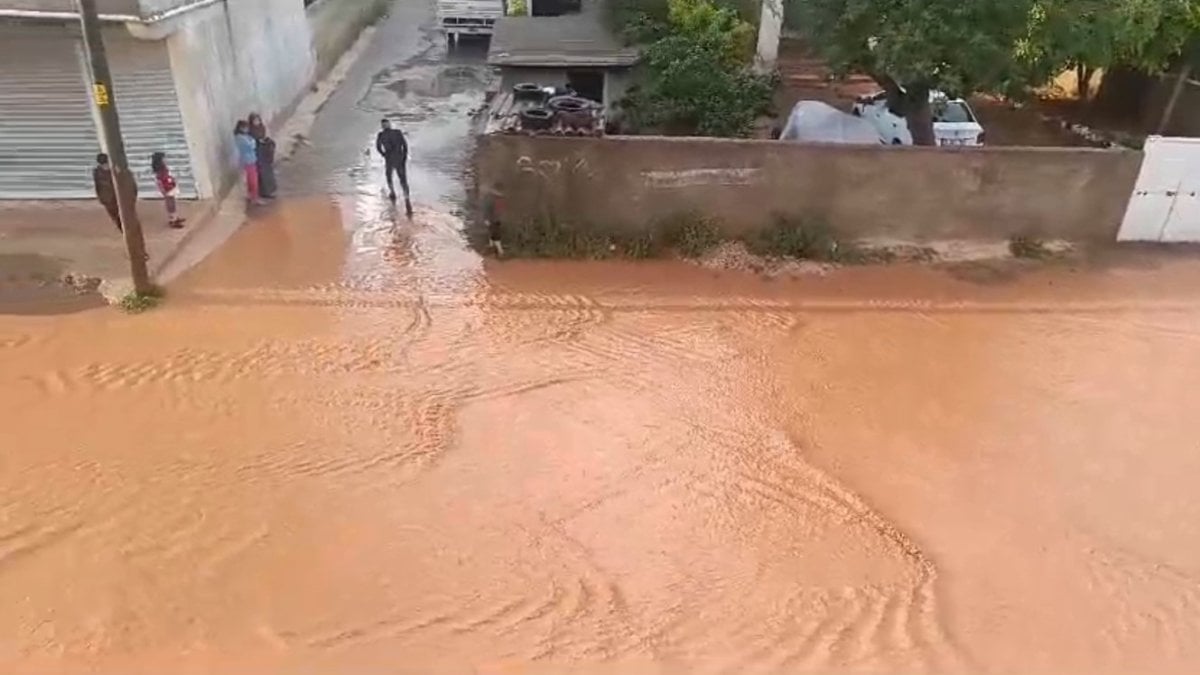 Meteorolojinin uyarısının ardından felaket yaşandı! Mahalleler sel suları altında kaldı: Ağaçlar hasar gördü