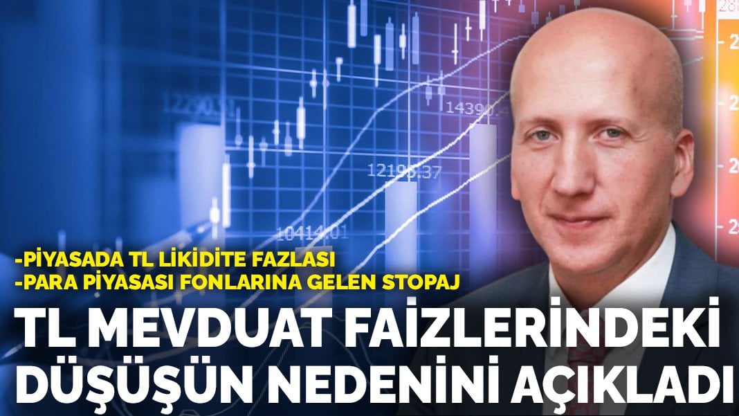 Merkez Bankası eski baş ekonomisti Hakan Kara TL mevduat faizlerindeki düşüşün nedenini açıkladı