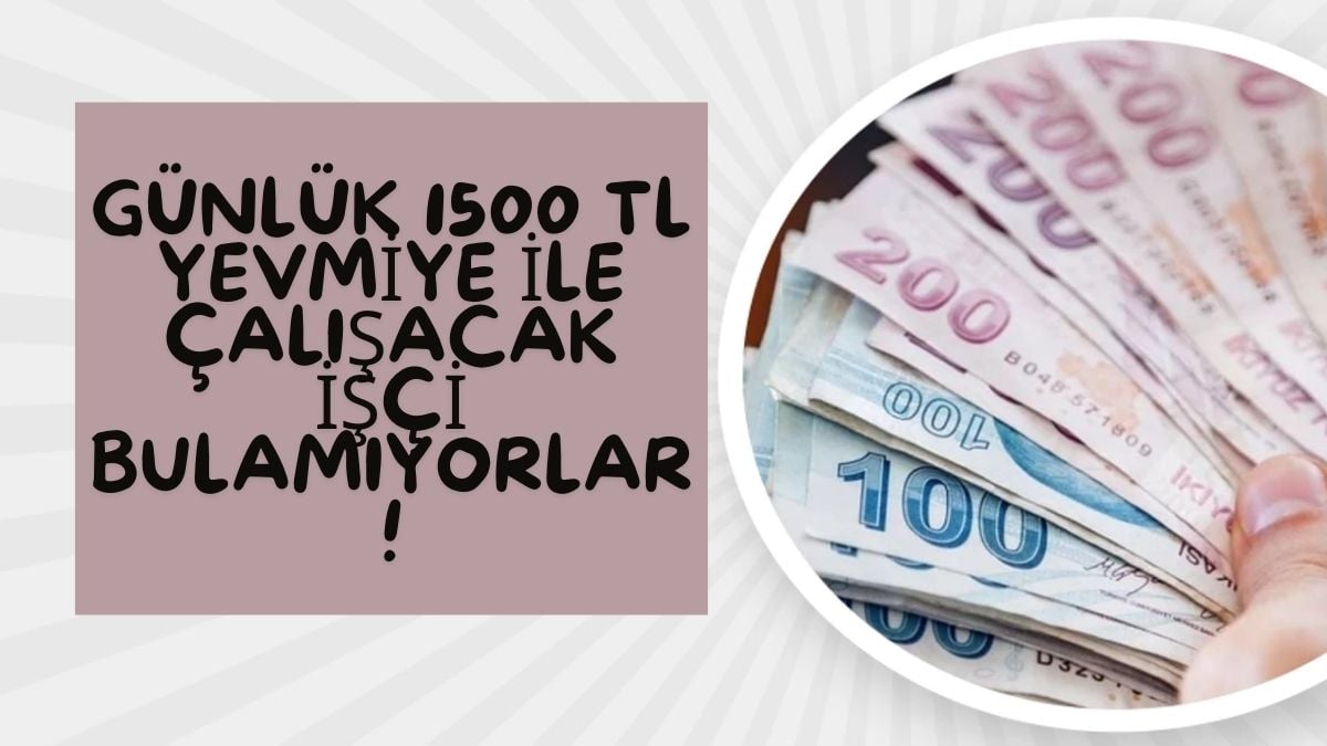 Bu kez ürün değil üretici karaborsaya düştü! Günlük 1500 TL’ye çalışan yok: Ürünlerin hepsi dalında kaldı