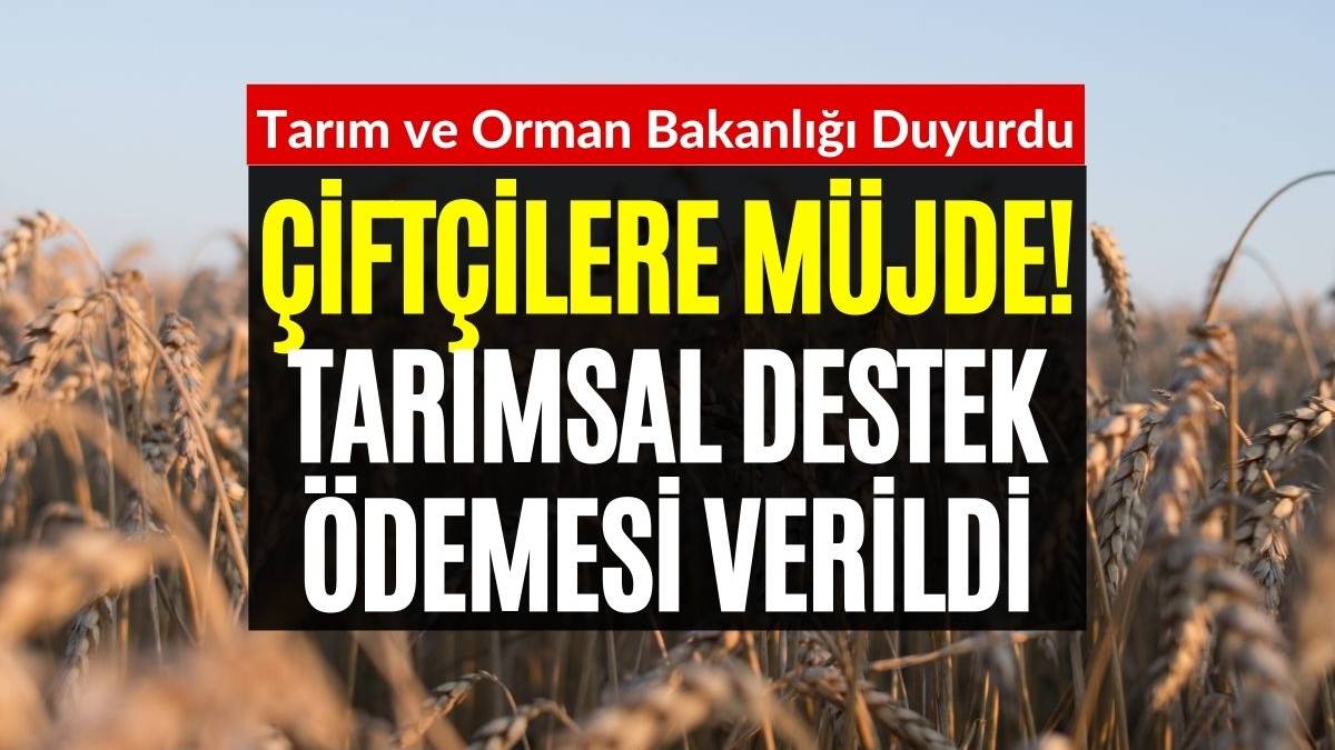 Çiftçilerin tadını tuzunu yerine getirecek açıklama! Hayırlı uğurlu olsun, sonunda hesaplara yatırılıyor